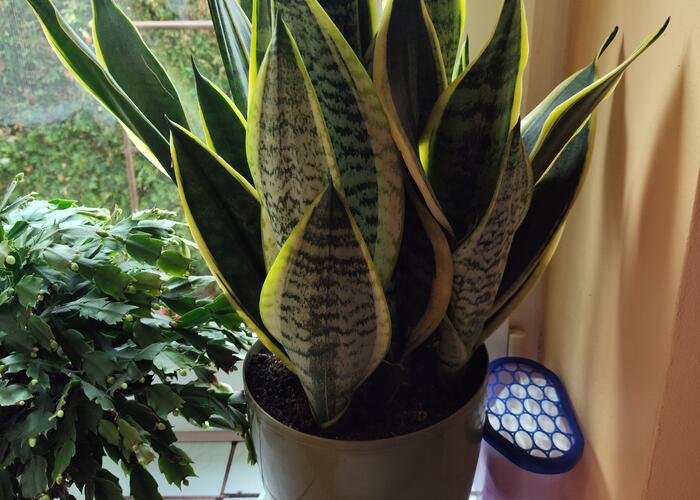 Grajewo ogłoszenia: Poproszę napisać wiadomość SMS ( jeśli nie odbiorę telefonu )...